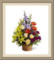 A & B Florist & Gift Shoppe, 160 Main Cross St, Boulder, CO 80301, (303)_927-8328